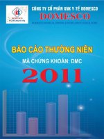 Báo cáo thường niên năm 2010 - Công ty Cổ phần Xuất nhập khẩu Y tế Domesco