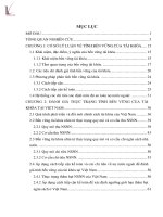 Luận văn đánh giá mức độ bền vững của tài khóa tại việt nam 