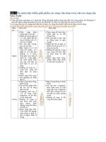 So sánh đặc điểm giải phẫu các răng cửa hàm trờn với các răng cửa hàm dưới 