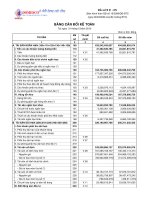 Báo cáo tài chính công ty mẹ quý 4 năm 2010 - Công ty Cổ phần Xuất nhập khẩu Y tế Domesco