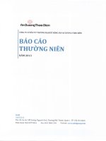 Báo cáo thường niên năm 2013 - Công ty Cổ phần Đầu tư Thương mại Bất động sản An Dương Thảo Điền