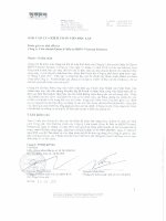 Báo cáo tài chính năm 2010 (đã kiểm toán) - Công ty Liên doanh Quản lý quỹ đầu tư BIDV-Việt Nam Partners