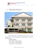 Báo cáo thường niên năm 2007 - Công ty Cổ phần Xuất nhập khẩu Y tế Domesco