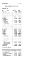 Báo cáo tài chính quý 2 năm 2008 - Công ty Cổ phần Xuất nhập khẩu Y tế Domesco