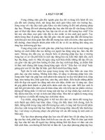 SKKN Ngữ Văn: Dạy học phân hóa các đối tượng học sinh khác nhau trong môn Ngữ văn 9 trường THCS Nga Nhân”.