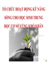 TỔ CHỨC HOẠT ĐỘNG KỸ NĂNG SỐNG CHO HỌC SINH TRUNG HỌC CƠ SỞ VÙNG KHÓ KHĂN