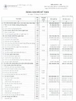 Báo cáo tài chính công ty mẹ năm 2010 - Công ty Cổ phần Xuất nhập khẩu Y tế Domesco