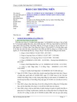 Báo cáo thường niên năm 2009 - Công ty Cổ phần Xuất nhập khẩu Y tế Domesco