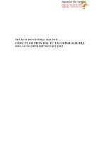 Báo cáo tài chính hợp nhất quý 1 năm 2013 - Công ty Cổ phần Đầu tư Tài chính Giáo dục