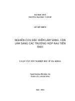 NGHIÊN cứu đặc điểm lâm SÀNG, cận lâm SÀNG các TRƯỜNG hợp RAU TIỀN đạo