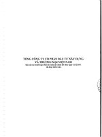 Báo cáo tài chính hợp nhất năm 2011 (đã kiểm toán) - Tổng Công ty Cổ phần Đầu tư Xây dựng và Thương mại Việt Nam