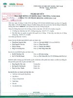 Nghị quyết Đại hội cổ đông bất thường ngày 23-12-2010 - Công ty Cổ phần Hoàng Anh Gia Lai