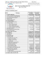 Báo cáo tài chính quý 2 năm 2009 - Công ty Cổ phần Lâm Nông sản Thực phẩm Yên Bái