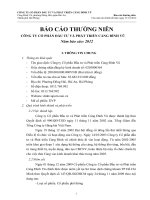 Báo cáo thường niên năm 2012 - Công ty cổ phần Đầu tư và Phát triển Cảng Đình Vũ