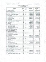 Báo cáo tài chính quý 1 năm 2010 - Công ty Cổ phần VICEM Vật liệu Xây dựng Đà Nẵng