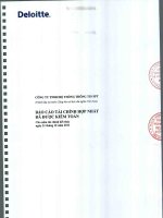 Báo cáo tài chính hợp nhất năm 2011 (đã kiểm toán) - Công ty Cổ phần Hệ thống Thông tin FPT