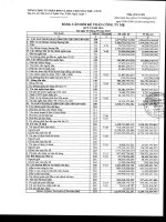 Báo cáo tài chính công ty mẹ quý 3 năm 2010 - Tổng Công ty Phân bón và Hóa chất Dầu khí-CTCP