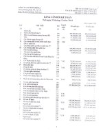 Báo cáo tài chính công ty mẹ quý 4 năm 2012 - Công ty Cổ phần Bibica