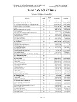 Báo cáo tài chính quý 2 năm 2009 - Công ty Cổ phần Công nghiệp Cao su Miền Nam