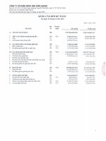 Báo cáo tài chính hợp nhất quý 4 năm 2010 - Công ty Cổ phần Bóng đèn Điện Quang