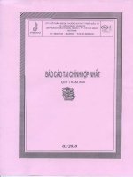 Báo cáo tài chính hợp nhất quý 1 năm 2010 - Công ty Cổ phần Ngoại thương và Phát triển Đầu tư Thành phố Hồ Chí Minh