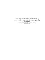 Báo cáo tài chính năm 2008 (đã kiểm toán) - Công ty Cổ phần VICEM Vật liệu Xây dựng Đà Nẵng