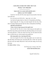 Tìm hiểu chữ nôm mượn nguyên trong tác phẩm chinh phụ ngâm diễn nôm 