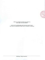 Báo cáo tài chính hợp nhất năm 2013 (đã kiểm toán) - Công ty cổ phần Thương mại Dịch vụ Tổng hợp Cảng Hải Phòng