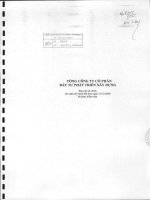 Báo cáo tài chính công ty mẹ năm 2009 (đã kiểm toán) - Tổng Công ty Cổ phần Đầu tư Phát triển Xây dựng
