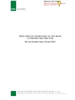 Báo cáo tài chính công ty mẹ quý 2 năm 2013 - Tổng Công ty Cổ phần Đầu tư Xây dựng và Thương mại Việt Nam