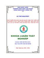 PHÁT TRIỂN đội NGŨ cán bộ NGƯỜI dân tộc THIỂU số ở HUYỆN a lưới, TỈNH THỪA THIÊN HUẾ  đáp ỨNG yêu cầu của sự NGHIỆP CÔNG NGHIỆP hóa, HIỆN đại hóa