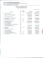 Báo cáo tài chính hợp nhất quý 3 năm 2010 - Công ty Cổ phần Bóng đèn Điện Quang