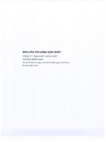 Báo cáo tài chính hợp nhất năm 2013 (đã kiểm toán) - Công ty Cổ phần Hóa chất Cơ bản miền Nam