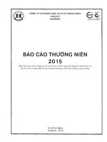 Báo cáo thường niên năm 2015 - Công ty Cổ phần Dịch vụ Ô tô Hàng Xanh