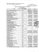 Báo cáo tài chính công ty mẹ quý 1 năm 2010 - Tổng Công ty Phân bón và Hóa chất Dầu khí-CTCP