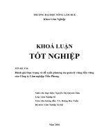 Đánh giá thực trạng và đề xuất phương án quản lý rừng bền vững của công ty lâm nghiệp tiền phong