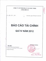 Báo cáo tài chính quý 4 năm 2012 - Công ty cổ phần Đầu tư và Phát triển Cảng Đình Vũ