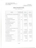 Báo cáo tài chính quý 1 năm 2011 - Công ty cổ phần Gạch Ngói Gốm Xây dựng Mỹ Xuân