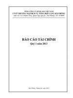 Báo cáo tài chính công ty mẹ quý 1 năm 2013 - Công ty cổ phần Thương mại Dịch vụ Tổng hợp Cảng Hải Phòng