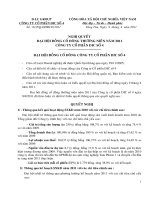 Nghị quyết đại hội cổ đông ngày 22-04-2011 - Công ty Cổ phần DIC số 4