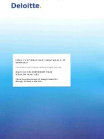 Báo cáo tài chính hợp nhất quý 2 năm 2014 (đã soát xét) - Công ty Cổ phần Xuất nhập khẩu Y tế Domesco