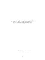 Báo cáo tài chính quý 1 năm 2011 - Công ty cổ phần Đầu tư Căn nhà Mơ ước