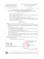 Nghị quyết Hội đồng Quản trị ngày 3-12-2010 - Tổng Công ty Cổ phần Đầu tư Phát triển Xây dựng
