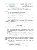 Nghị quyết Hội đồng Quản trị ngày 20-9-2010 - Công ty cổ phần Gia Lai CTC