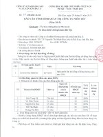 Báo cáo tình hình quản trị công ty - CTCP Khoáng sản và Luyện kim Bắc Á