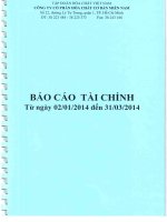 Báo cáo tài chính công ty mẹ quý 1 năm 2014 - Công ty Cổ phần Hóa chất Cơ bản miền Nam