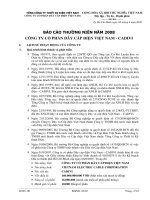 Báo cáo thường niên năm 2008 - Công ty cổ phần Dây Cáp Điện Việt Nam