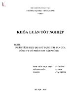 Luận văn phân tích hiệu quả sử dụng tài sản của công ty cổ phần sơn Hải Phòng
