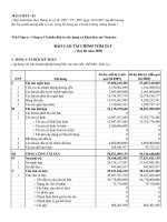 Báo cáo tài chính quý 3 năm 2009 - Công ty Cổ phần Đầu tư Xây dựng và Khai thác mỏ Vinavico