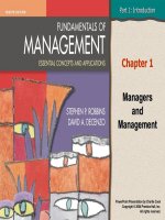 Fundamentals of management